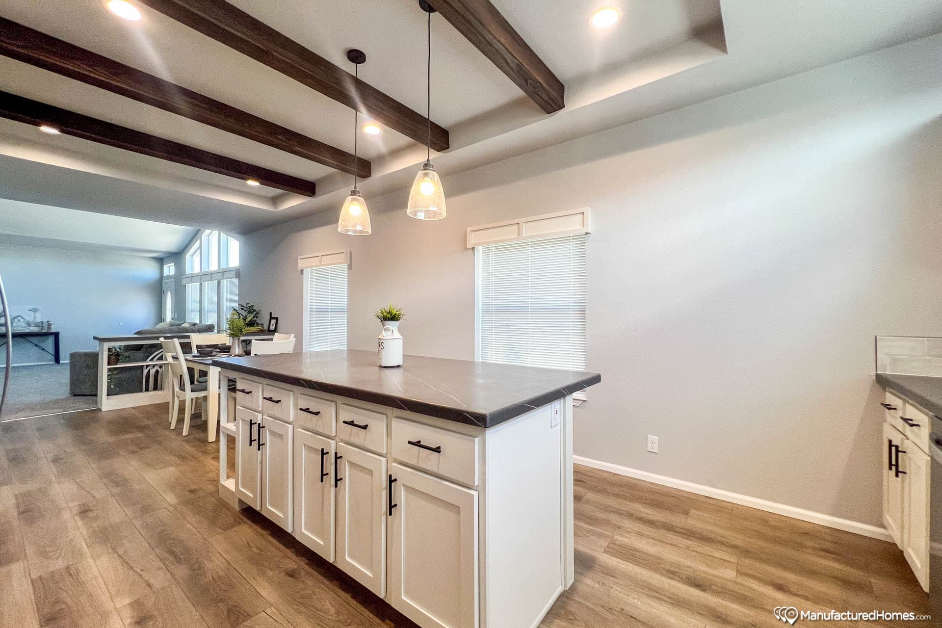 Buckhorn 28663s  home features